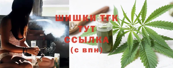 прущие грибы Белоозёрский