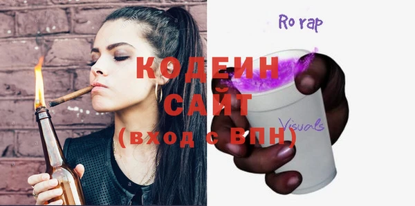 крисы Елабуга