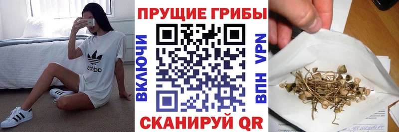 Галлюциногенные грибы Magic Shrooms ссылка на мегу онион Боровичи