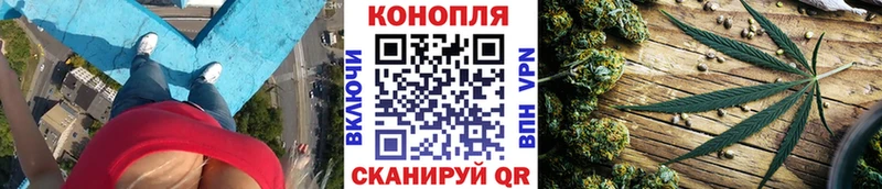 Шишки марихуана THC 21% Боровичи